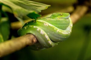 クレジットカードの枚数はどれくらいが理想なのか？